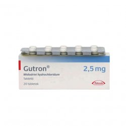 Гутрон таблетки 2,5 мг. №20 в Дербенте и области фото